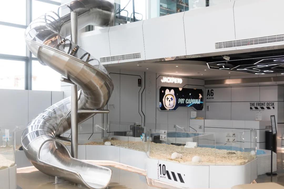 极宠家丨中国南京丨未本空间团队-64