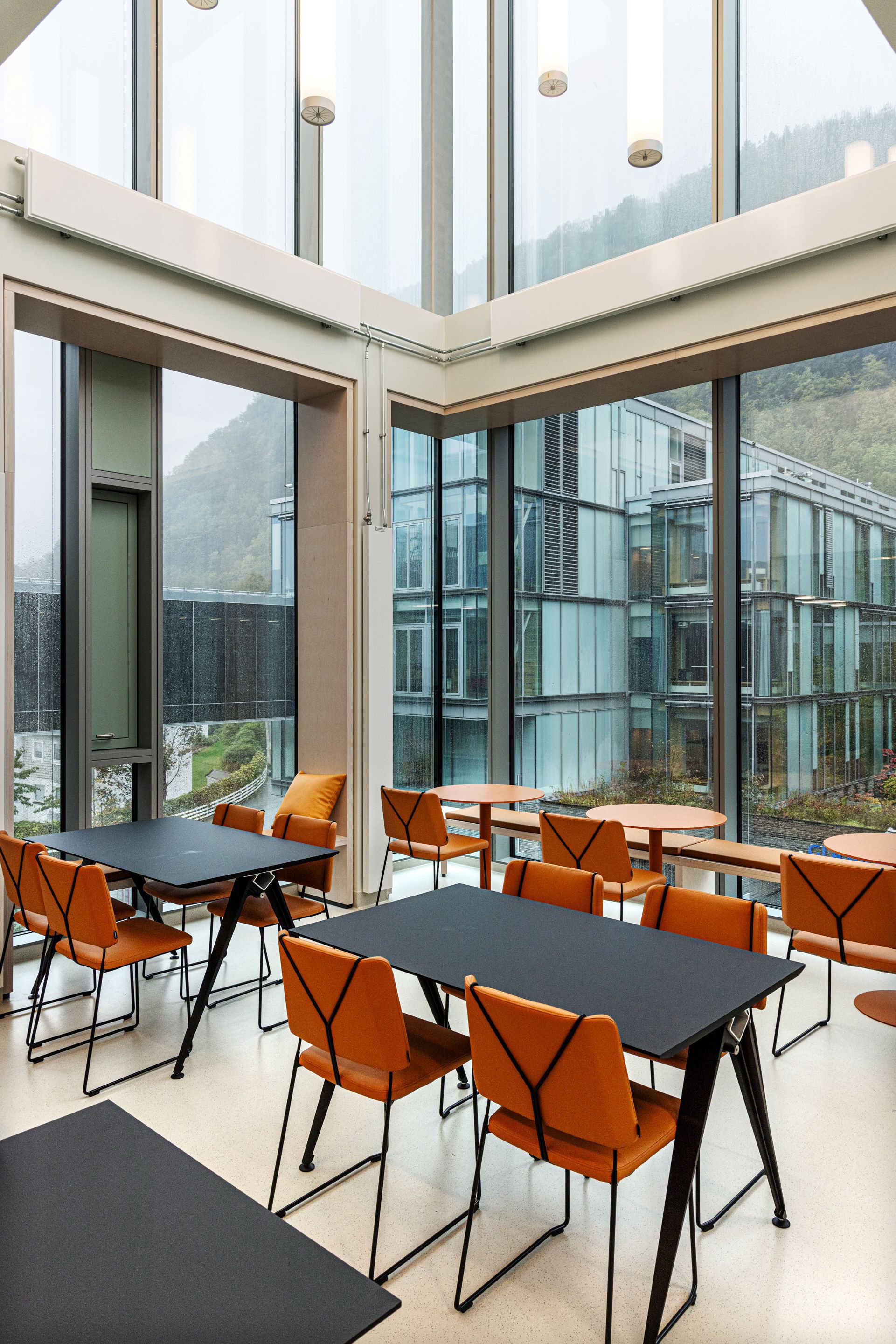 Glasblokkene Haukeland Hospital for Children Youth and Women / KHR Arkitekter + Studio PKA + Henning Larsen + Schönherr-39