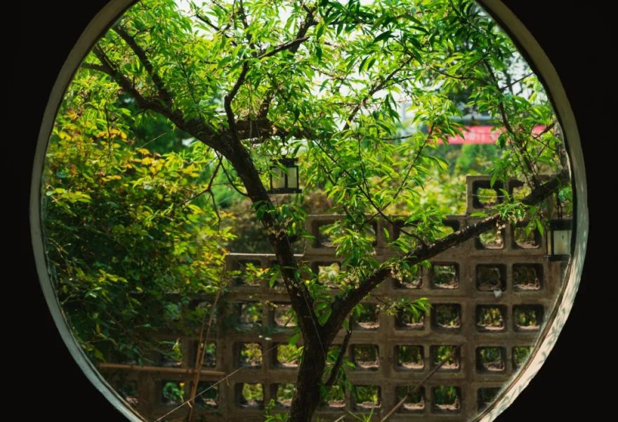 绿意盎然,火锅心情——自然环境对火锅体验的影响-34