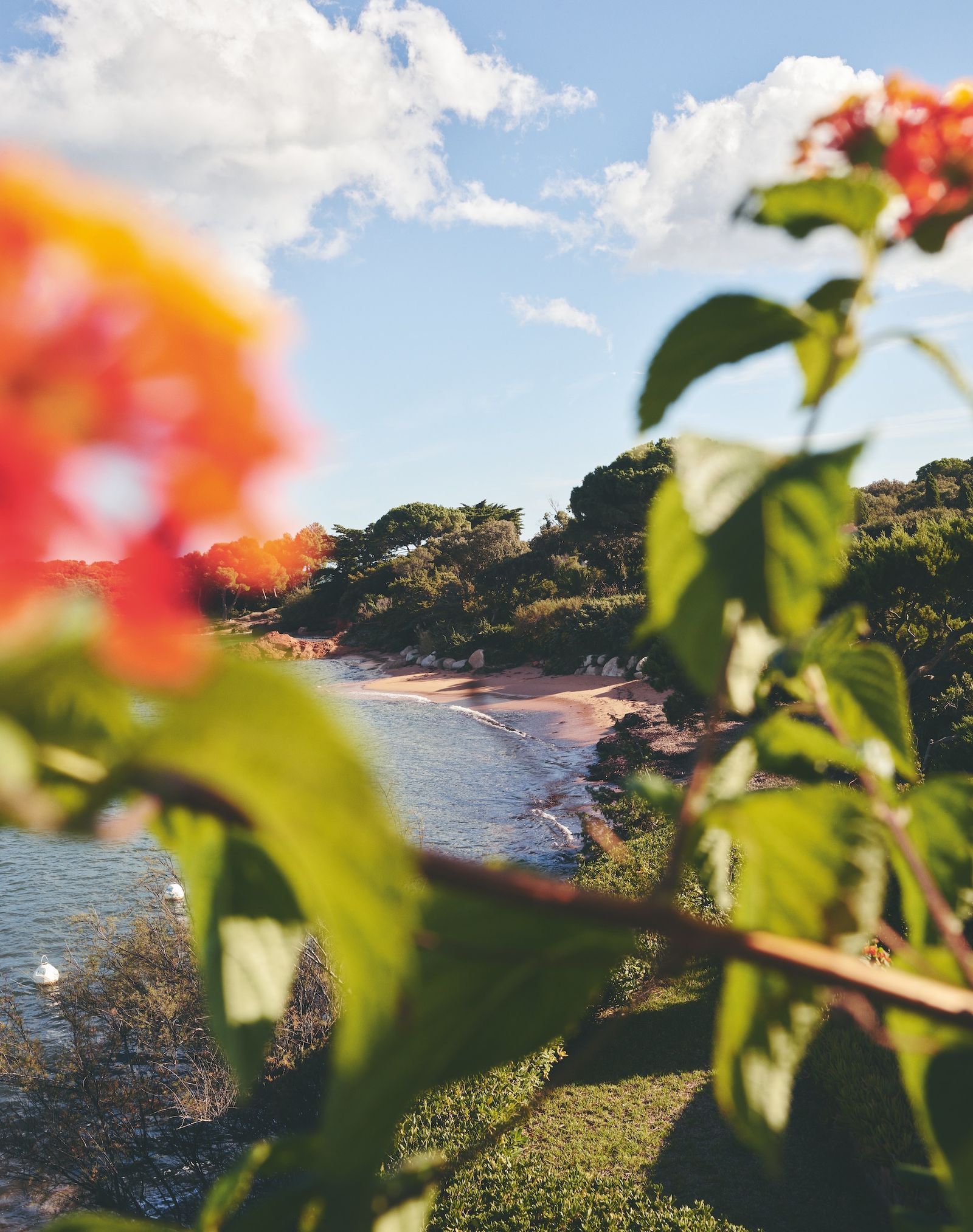 科西嘉岛60年代度假屋改造丨Chloé Nègre-33