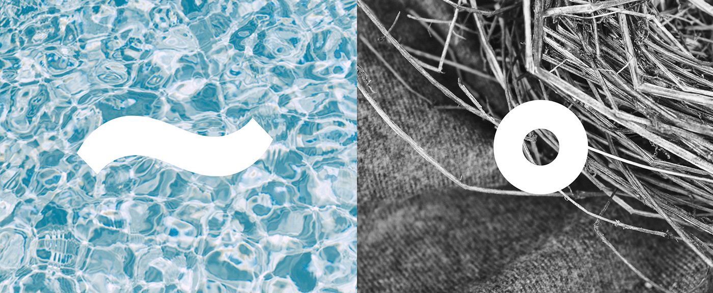 Wellnest 品牌空间设计-2