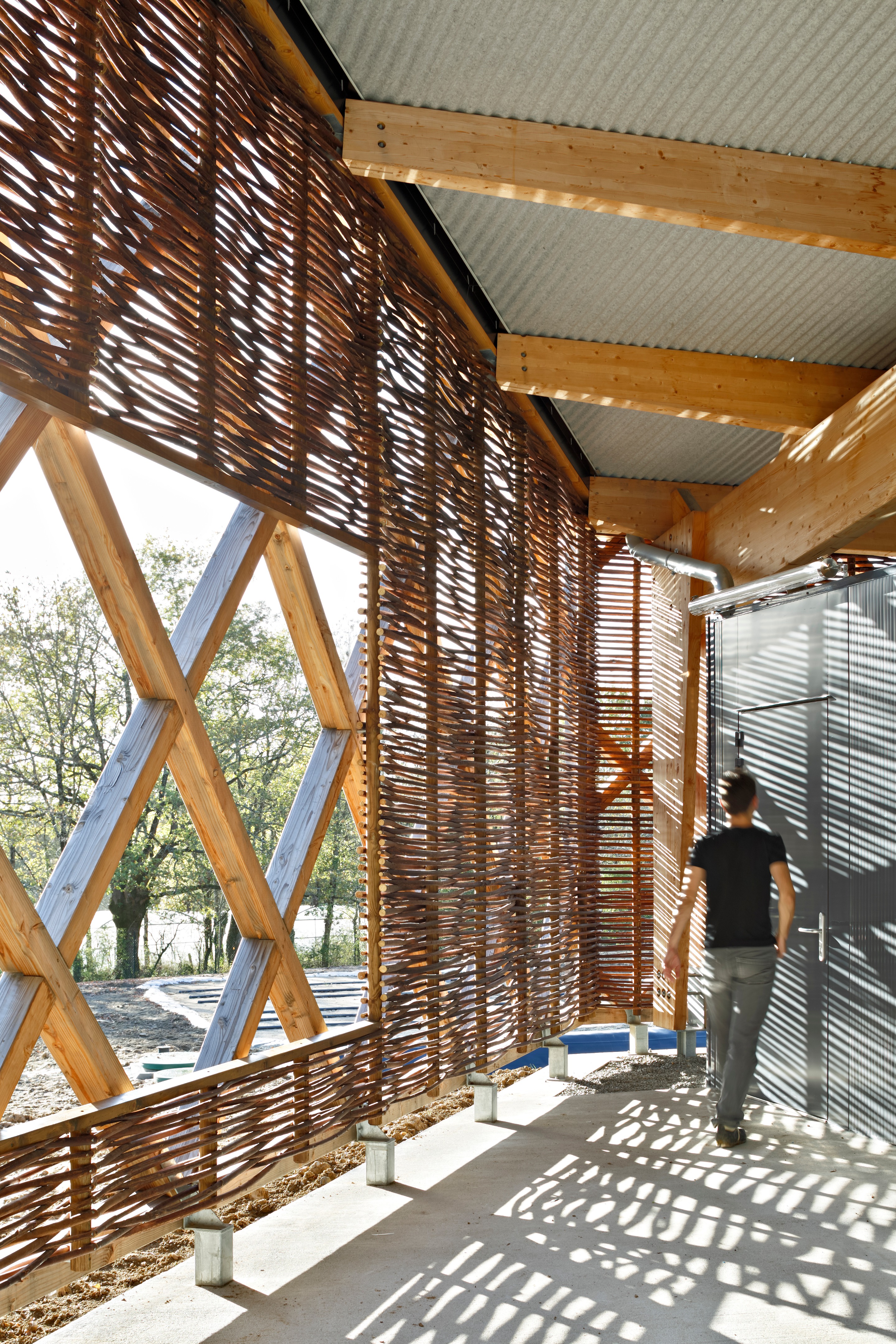 校园绿意 · 蔬菜加工车间与教学结合的设计-51