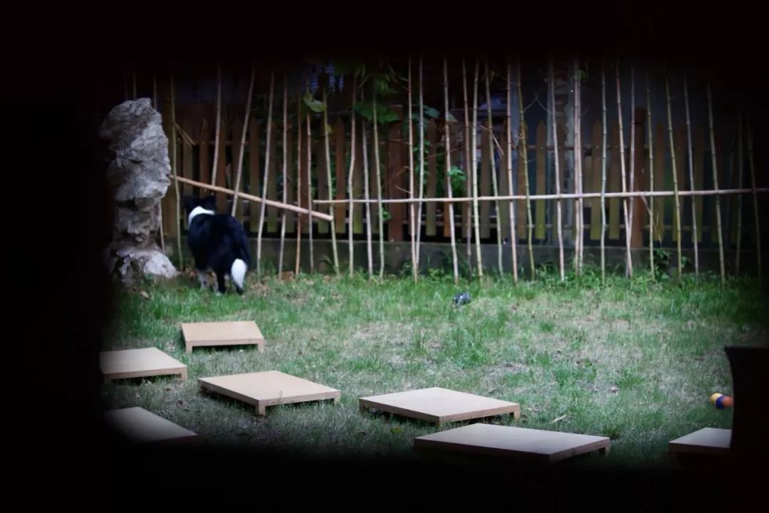 夏夜烧烤趴 | 久舍生活解锁夏日向往-69