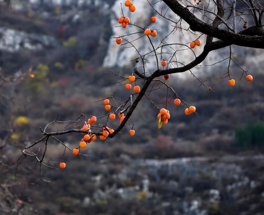 西安汉华·原上-7