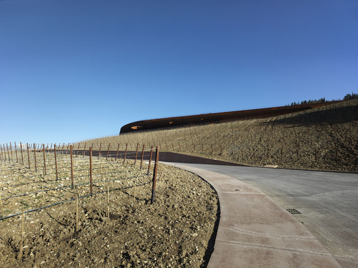 安蒂诺里酒庄（Archea Associati）-19