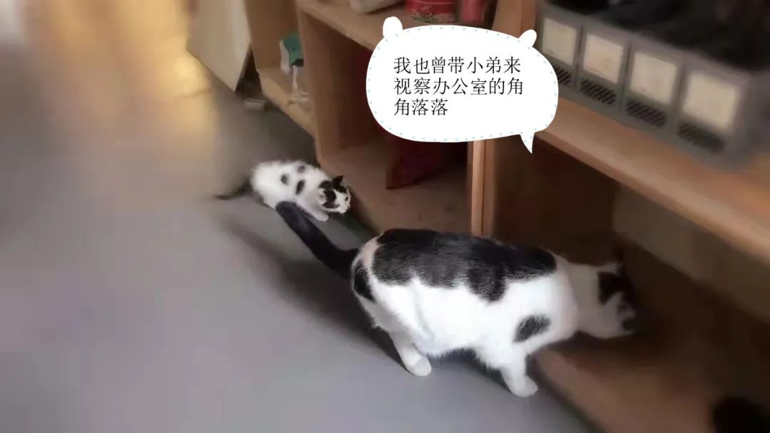 海力设计公司丨中国重庆-19