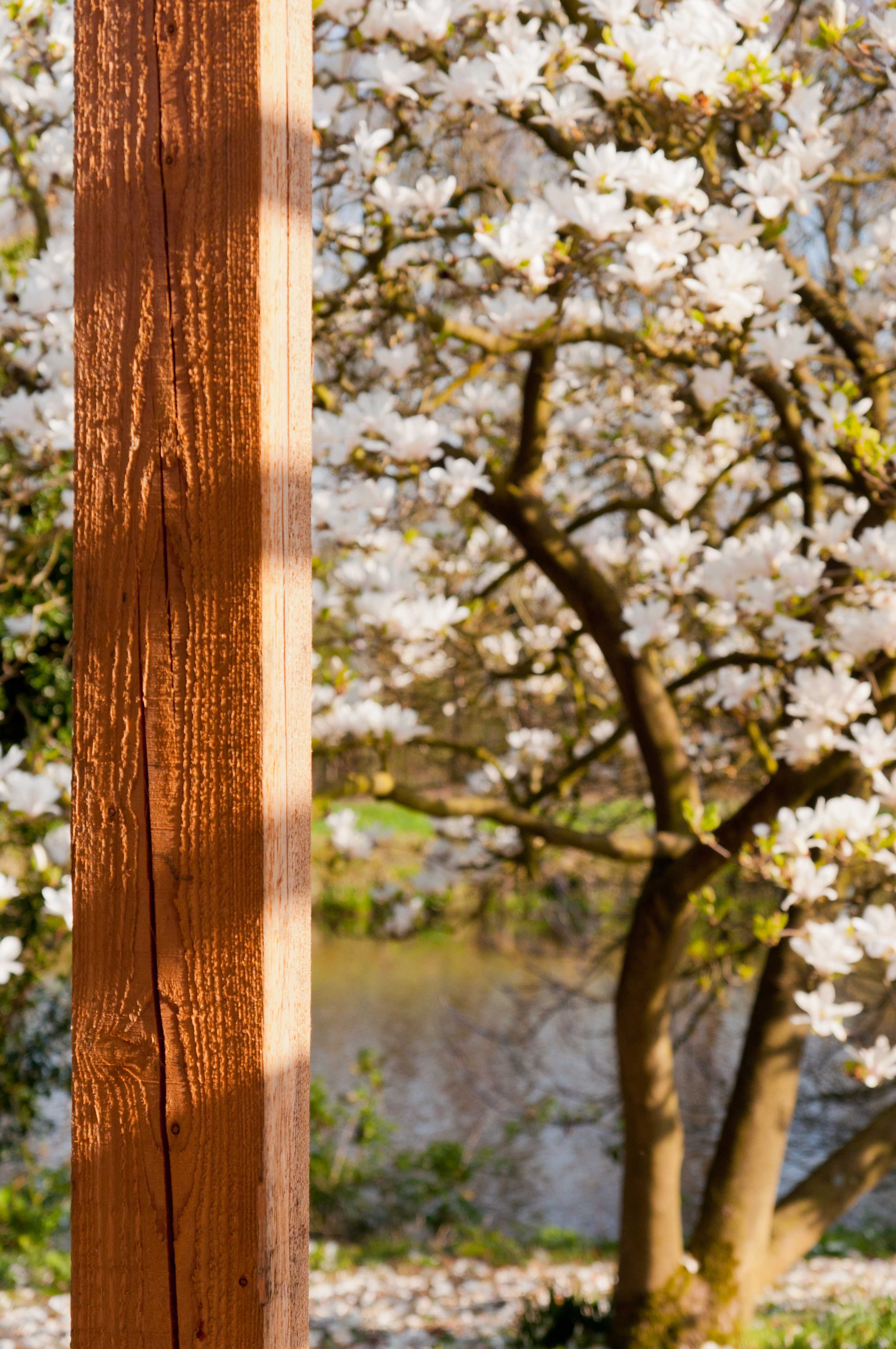 荷兰多梅勒河木材展馆 历史与现代的完美融合-9