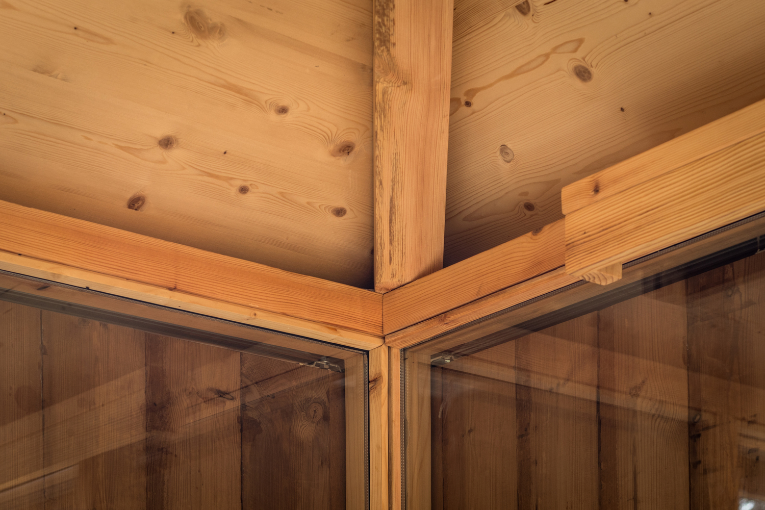 葡萄牙松树中筑巢树屋-28