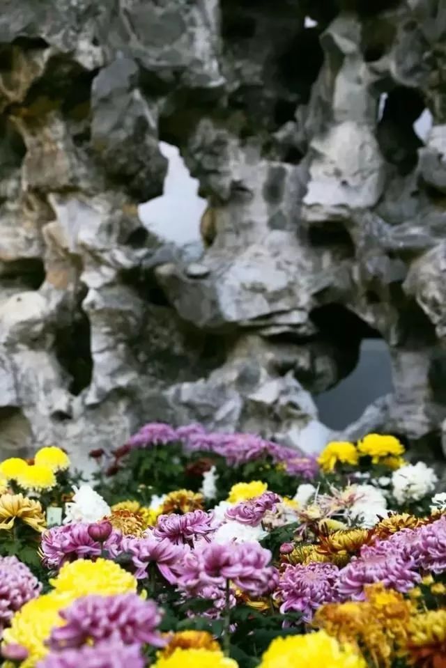 苏州园林秋韵 | 方寸之间见山水-53