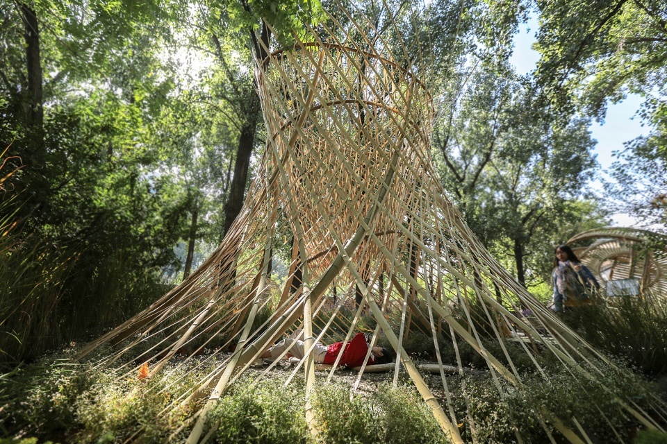 北林国际花园建造节获奖作品 | “黑洞”与“樊笼”-12