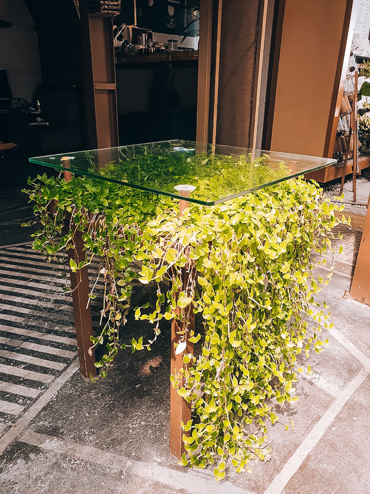 Vibati Coffee(乡间咖啡馆的逆袭)-7