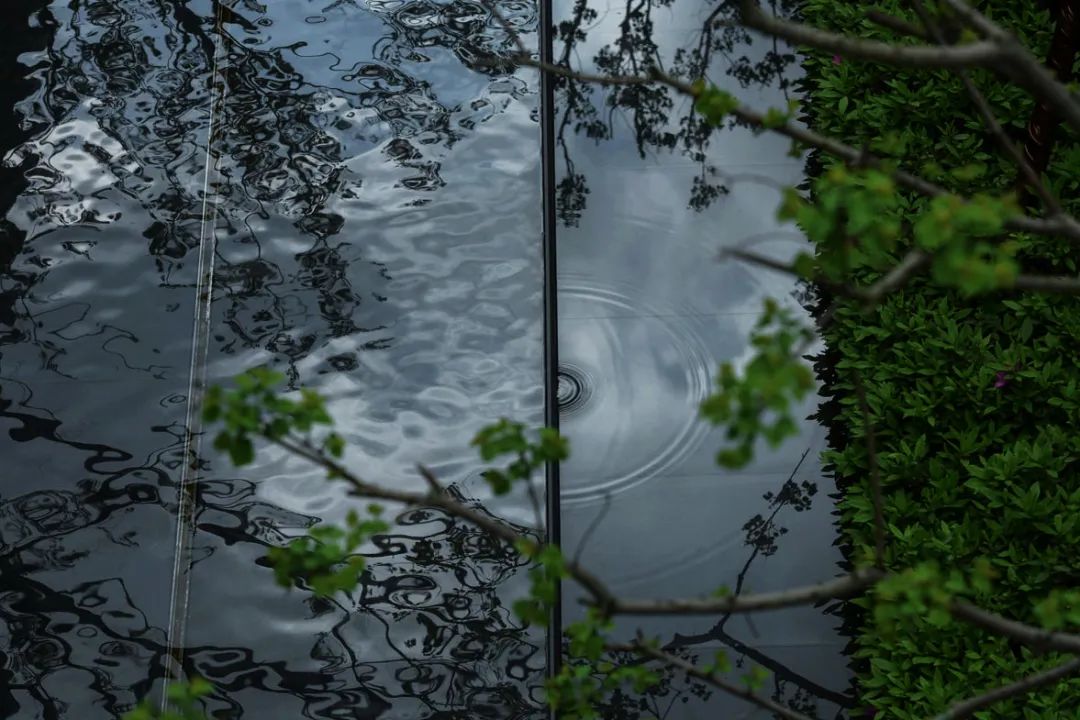 浸染于自然 清雅于生活 | 南通中海·观山樾-41