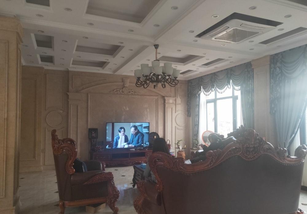 开封马家别墅-10