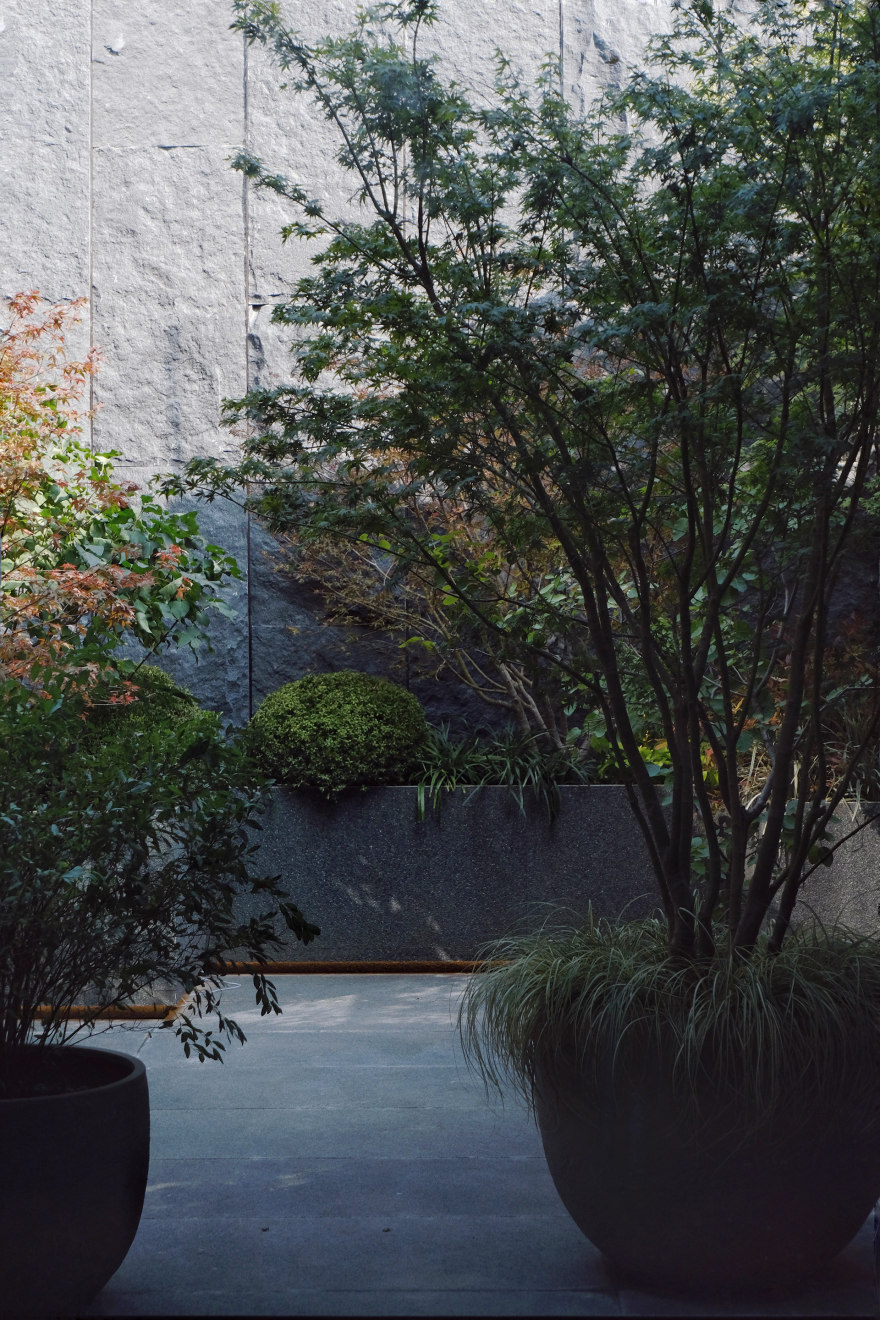 Urbanroots地下室花园丨中国北京丨Diff architecture studio-33