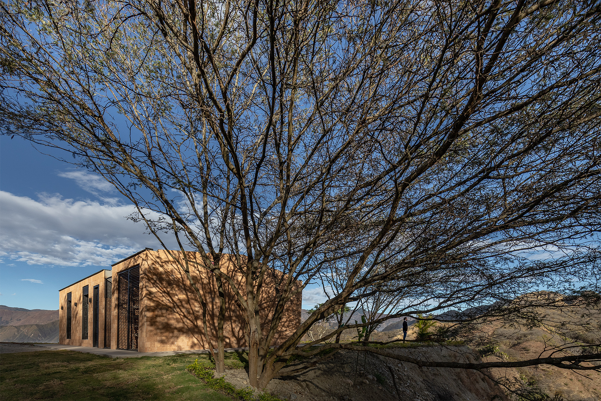 Native House  / David Regalado Arquitectura-34