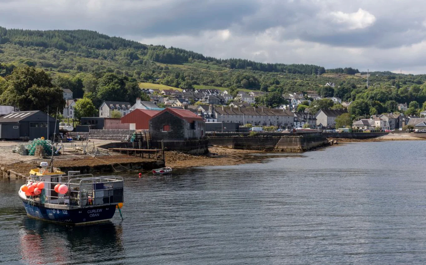 鸡蛋棚；蛋品存放棚（注：这里Egg Shed常见表意结合一般场景推测为存放蛋类的棚子，若有具体背景，表意可能不同 ） 丨英国德里丨OCA Studio-8