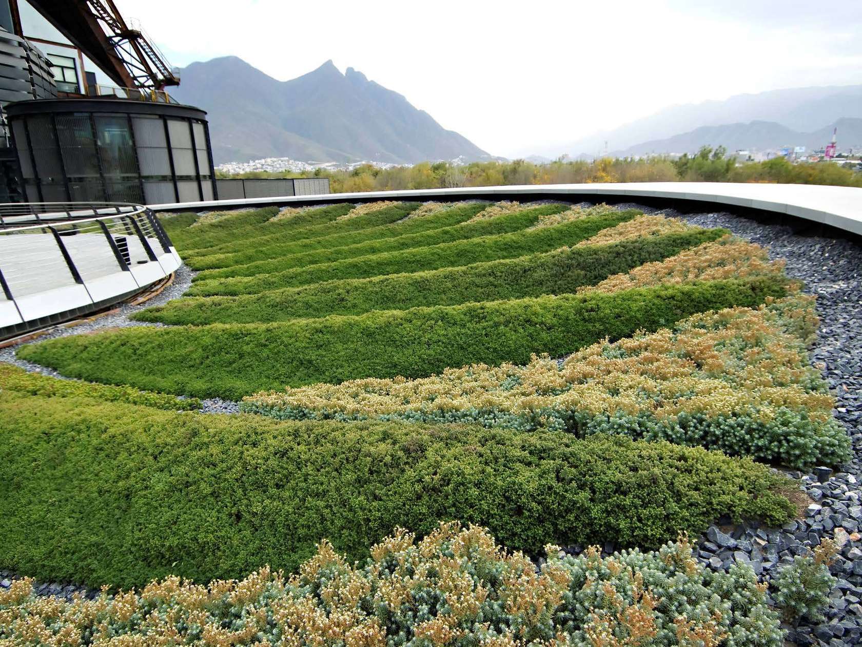 墨西哥钢铁博物馆丨墨西哥蒙特雷丨Surfacedesign 有限公司,Harari 景观设计公司-4