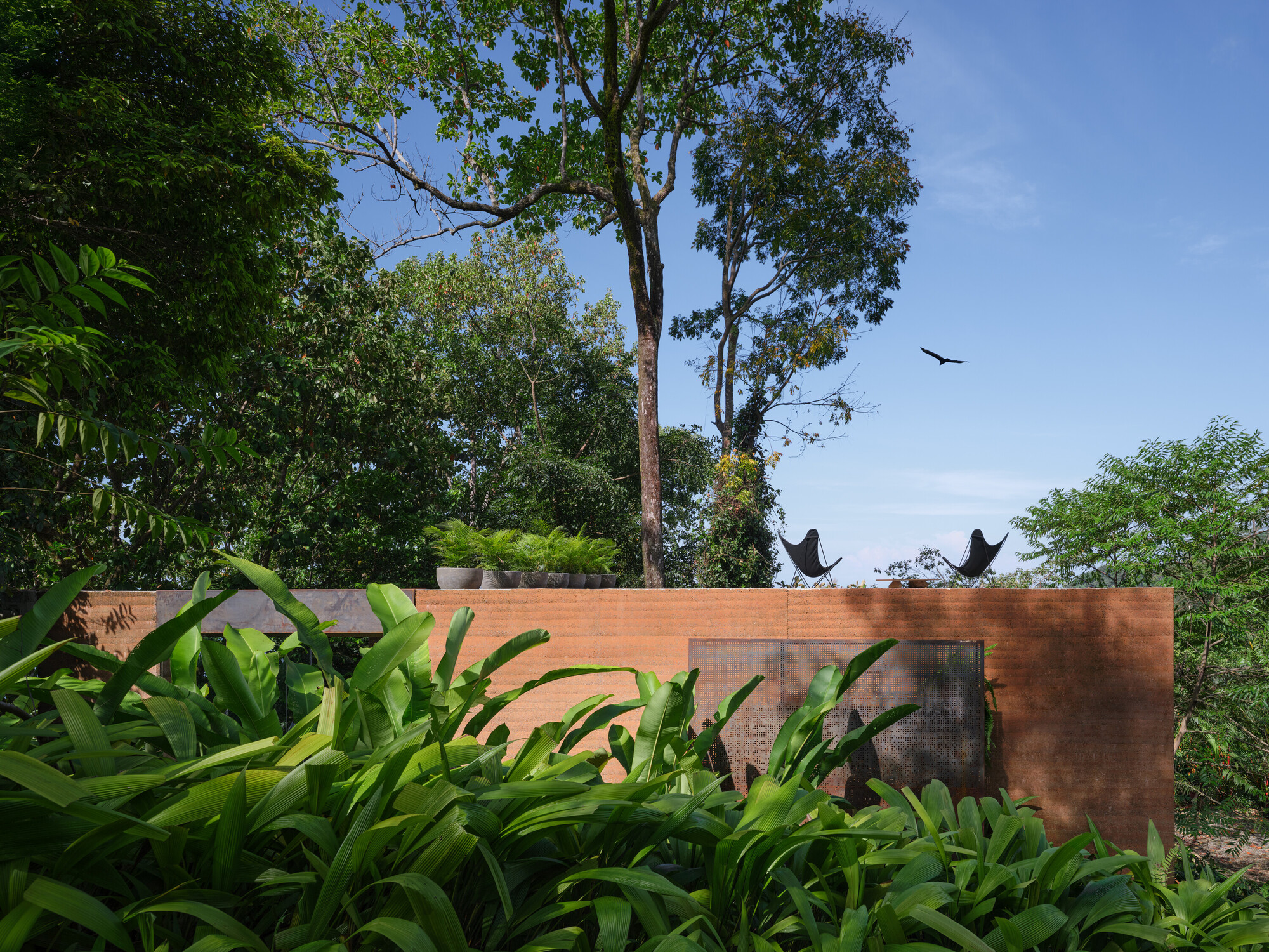 丨哥斯达黎加丨Formafatal-16