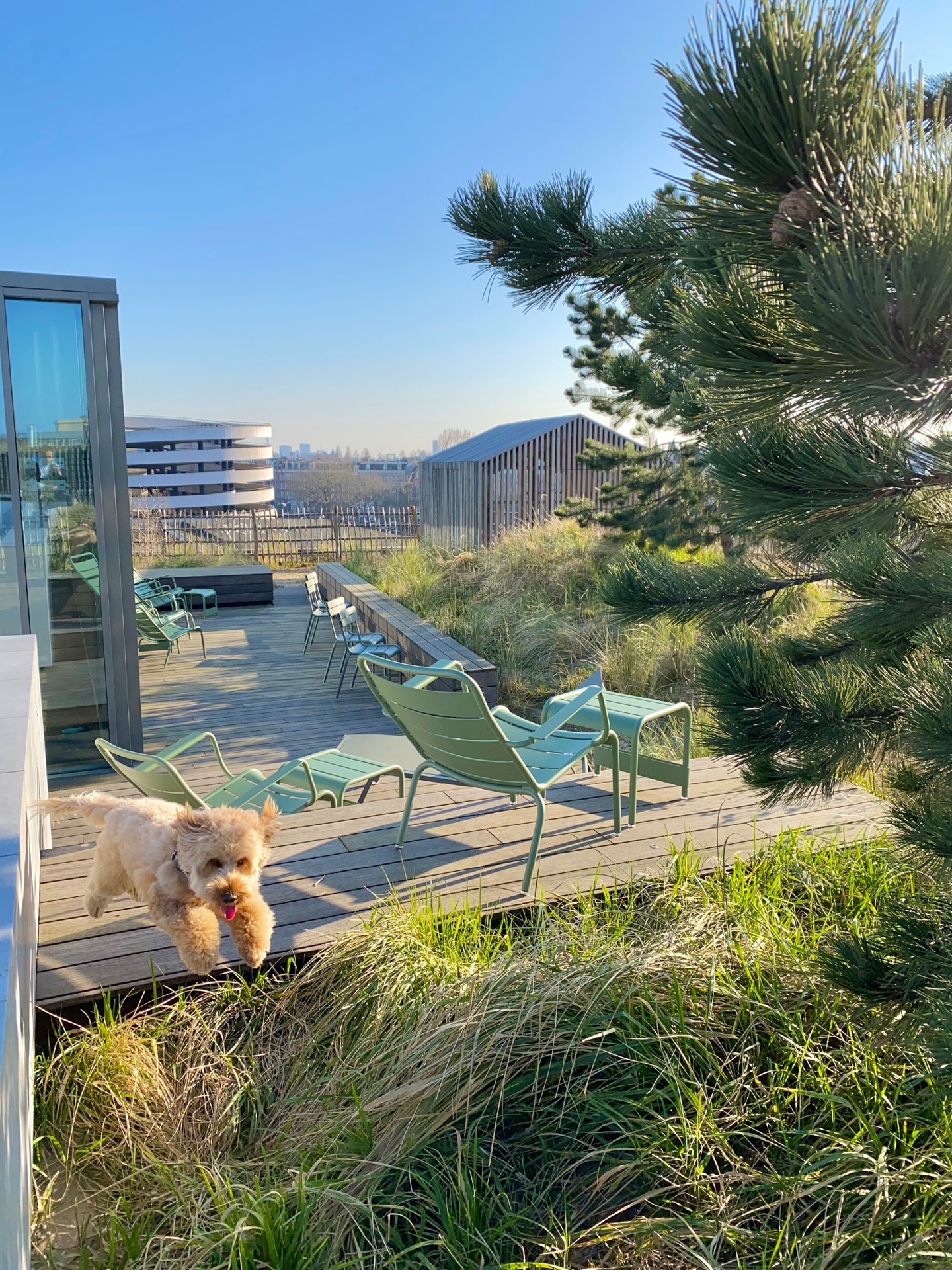 Exclusieve tuinmeubels op luxe terras-4