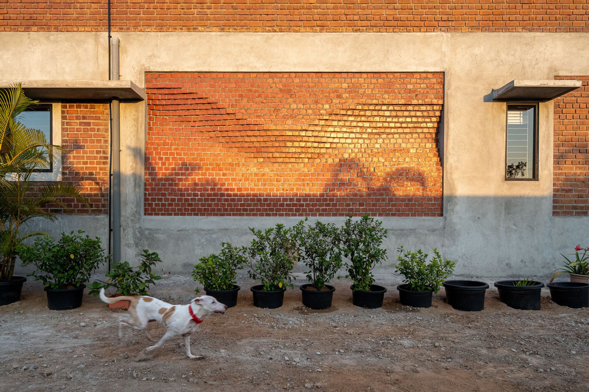 VIPA 农庄丨印度丨Studio One By Zero-39