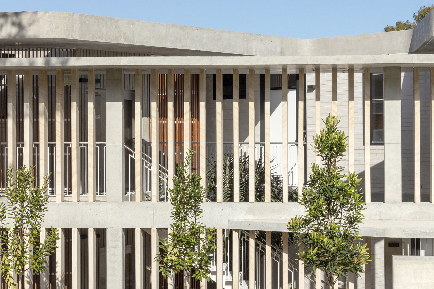 Foamcrest 公寓丨澳大利亚悉尼丨Richard Cole Architecture-13