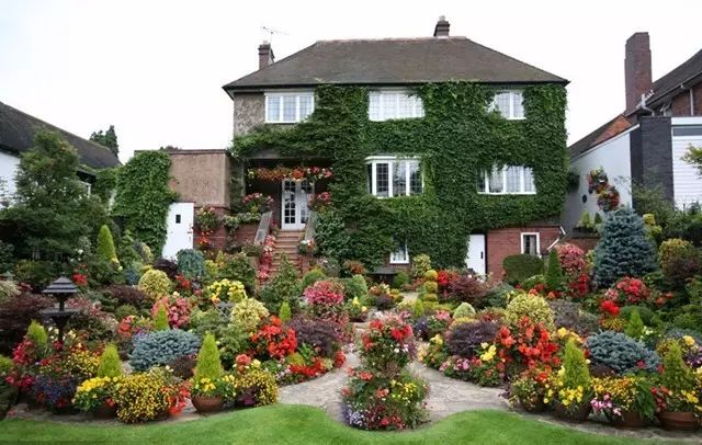 7旬夫妻用24年建绝美花园 全球花友慕名来“探花”-26