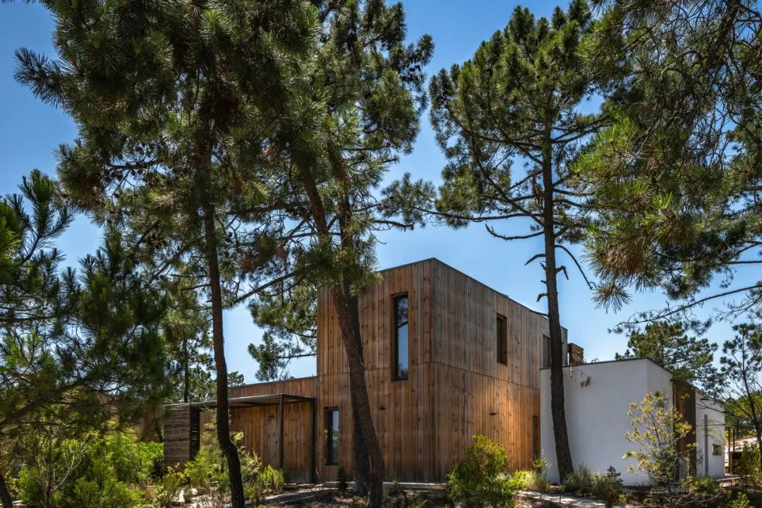 天堂半岛生态度假屋丨GGH 设计机构-9