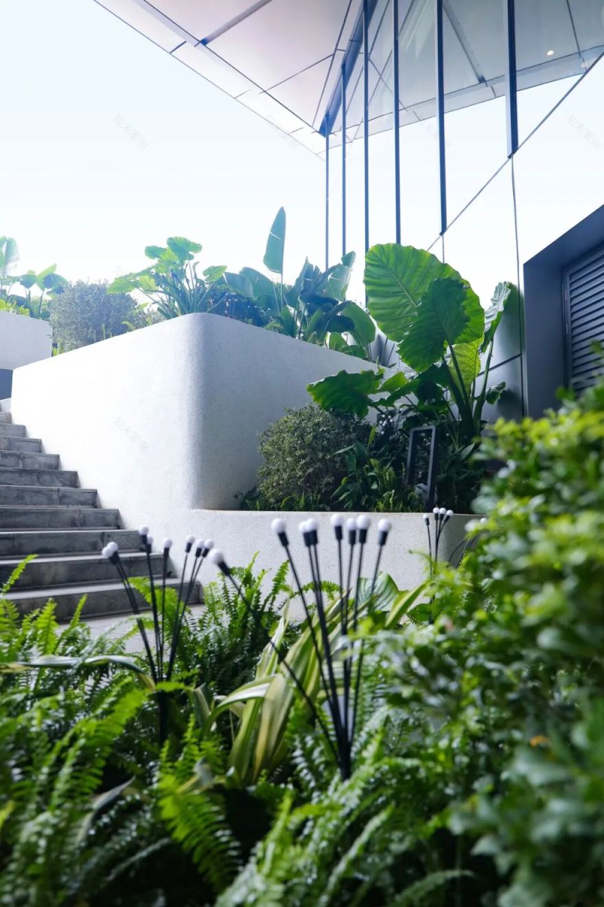 普邦股份项目荣获2025年度珠海市城市园林绿化工程质量奖一等奖-27