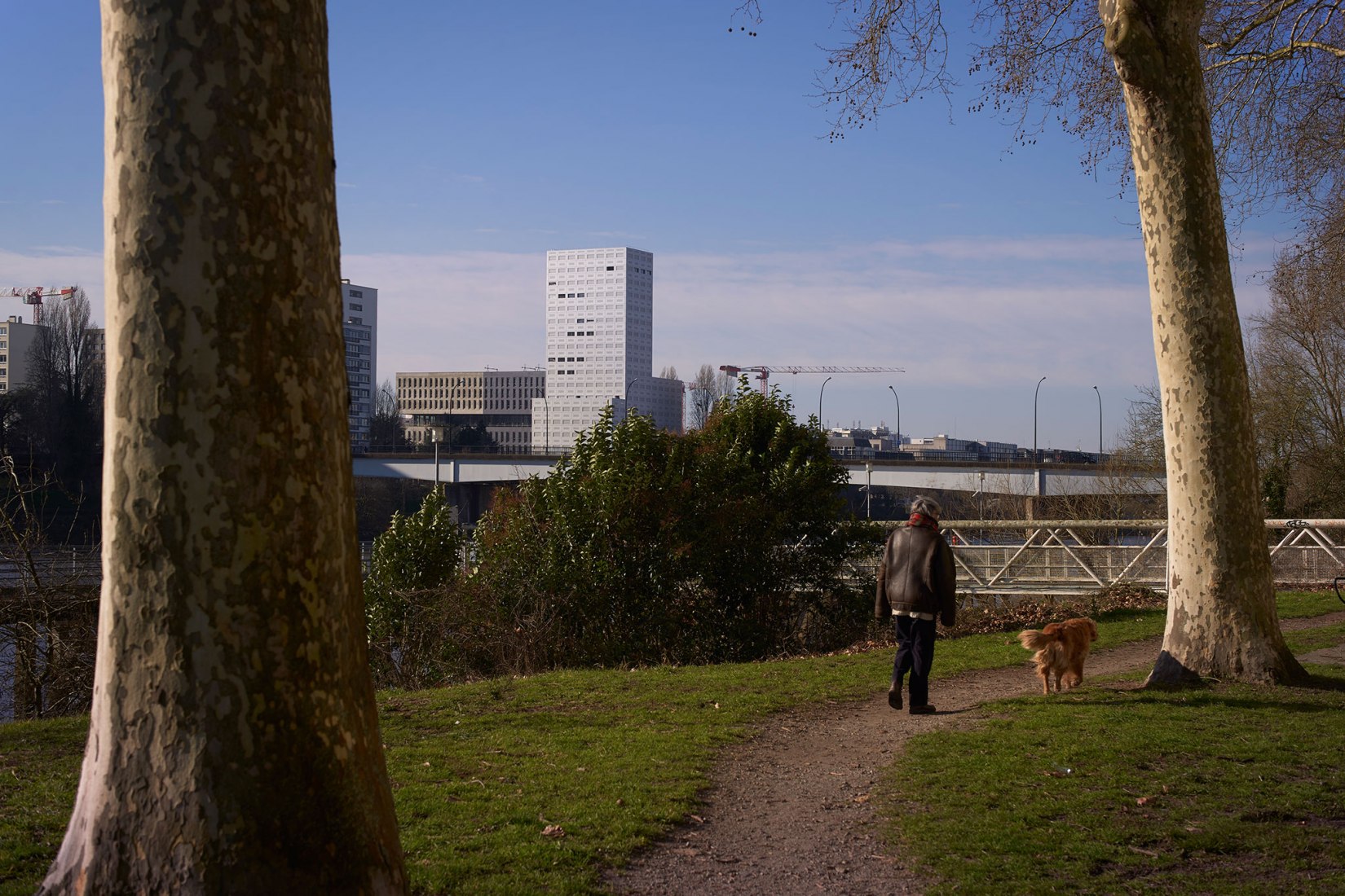 未来北极星区首座建筑（360° View 塔）丨LAN Architecture 等多家-64