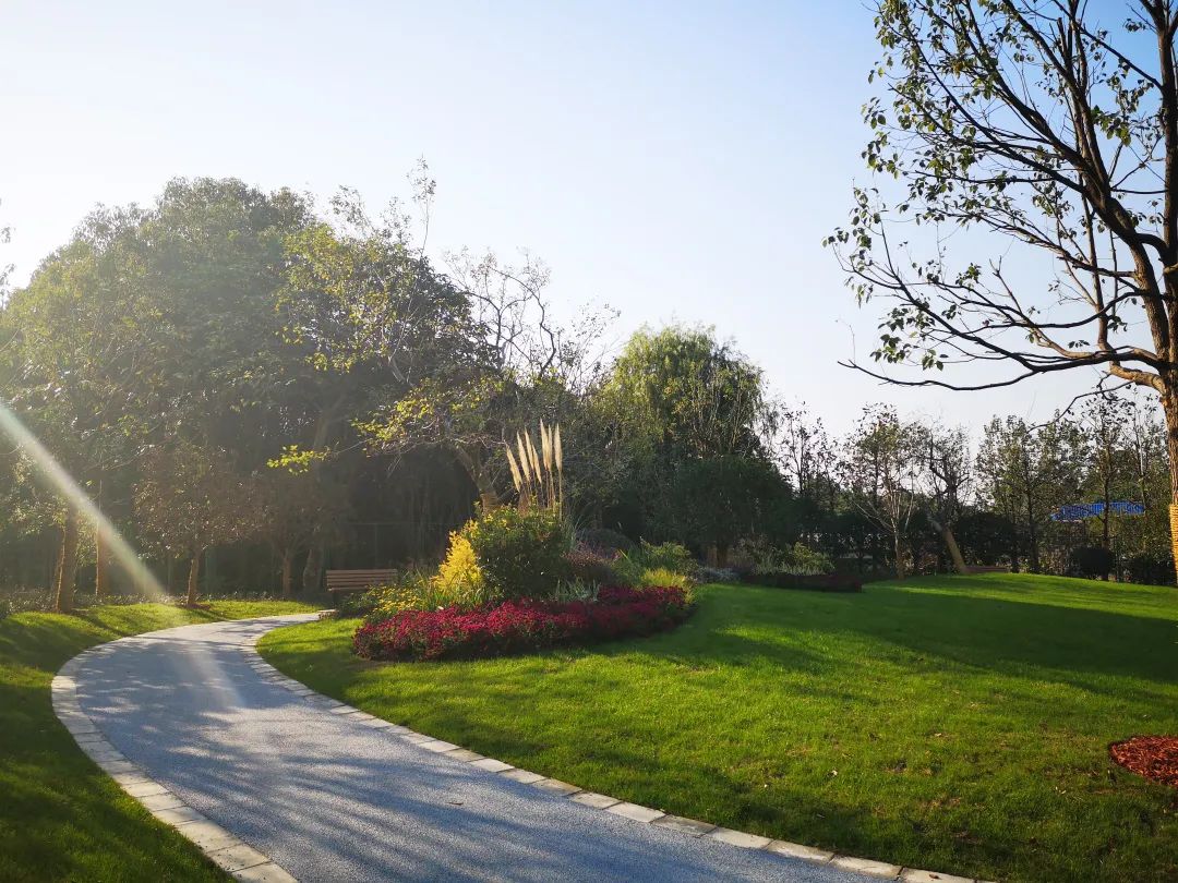 《九里亭景观更新规划与实践》 | 精致共享共治,呈现松江新貌-151