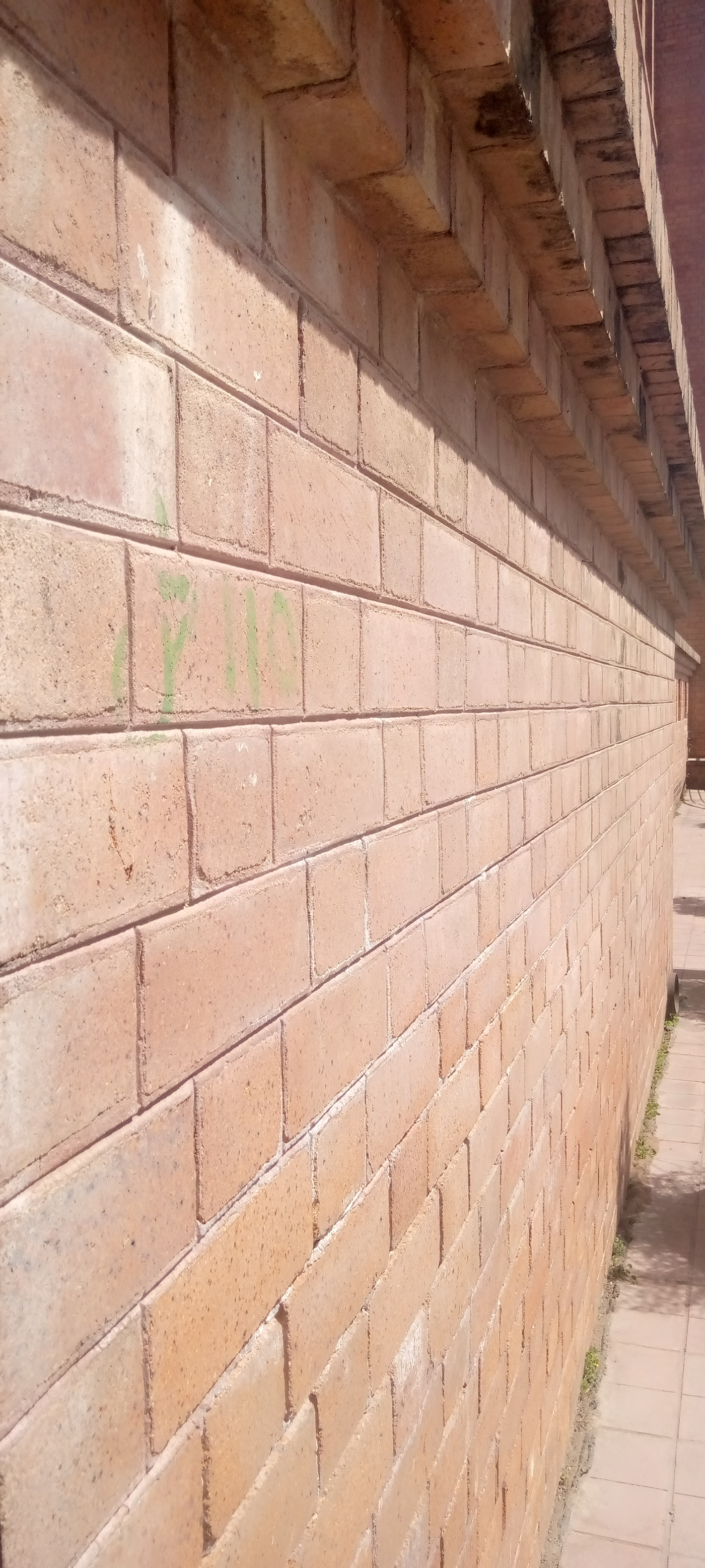 class activity III-1