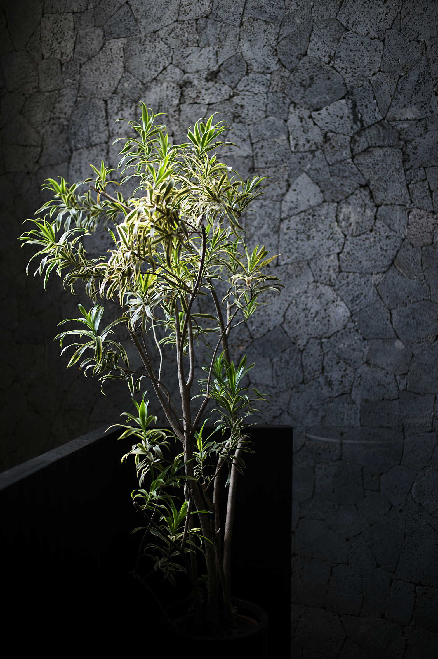 田间之上中国湘菜馆丨中国广州丨黑白木设计-101