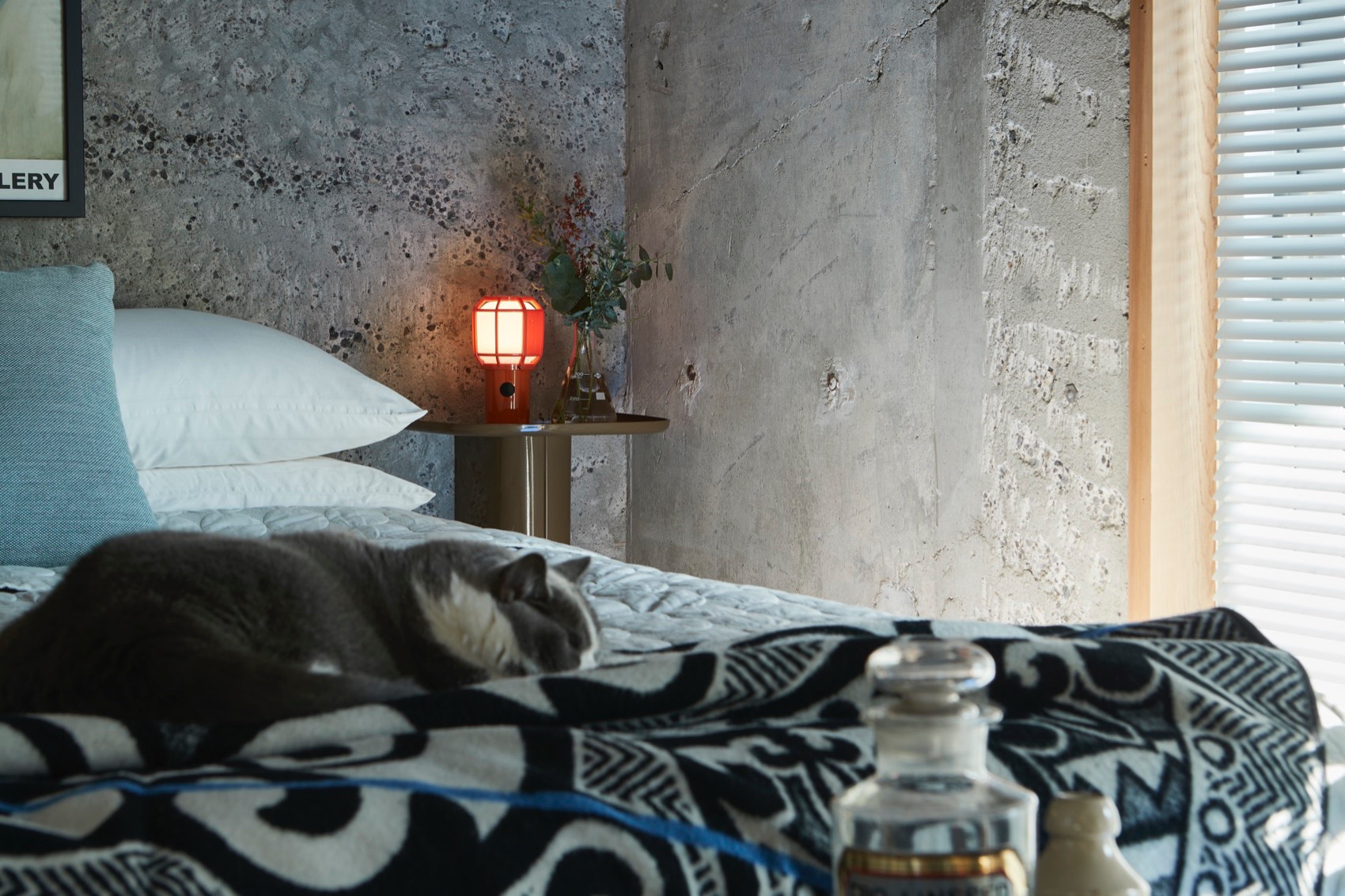 东京蓝色公寓，日本 / Roovice-61