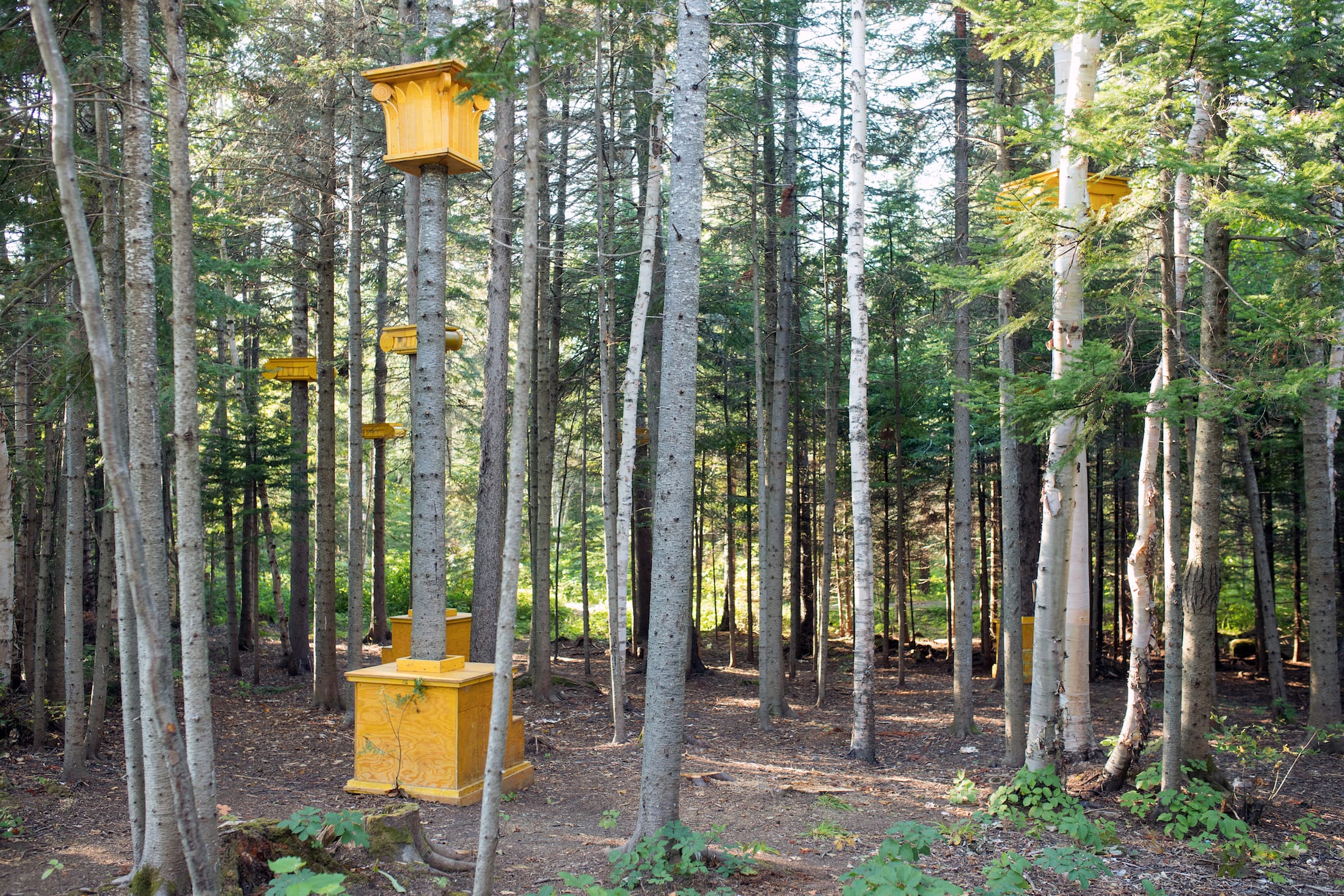 2019加拿大国际花园节(第二部分),Reford Gardens-74