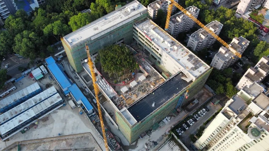 荔园外国语小学（景田）丨中国深圳丨直向建筑-52