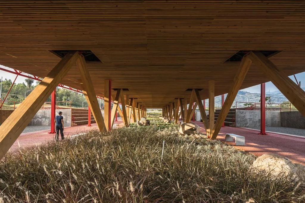 绿色主义艺术,打造城市花园丨哥伦比亚丨Mazzanti 小组,Odinsa 公司-8