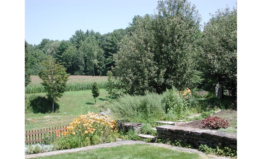 SHELBURNE RESIDENCE景观设计丨Dodson & Flinker-7