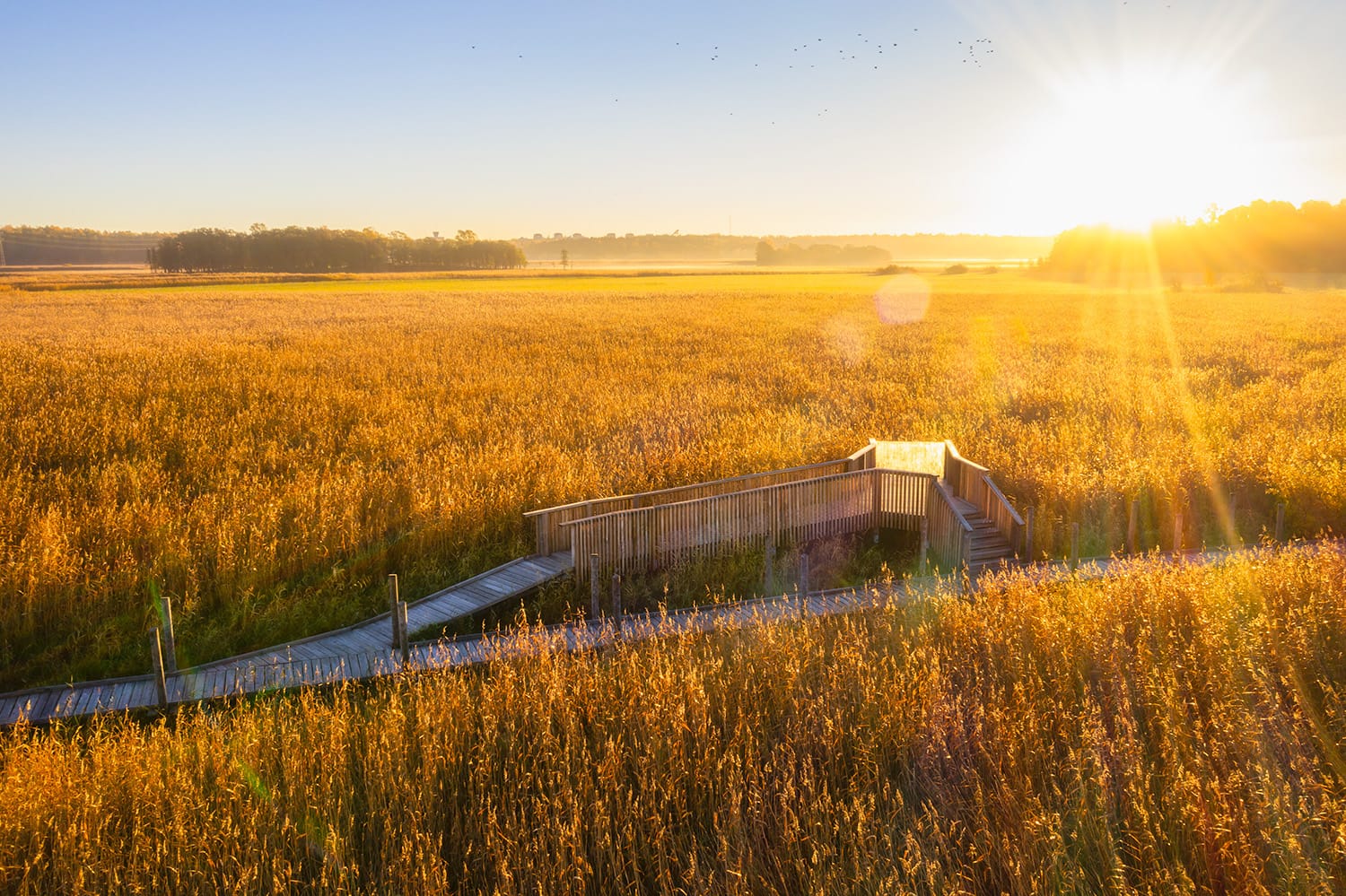 Nattours 无障碍休闲路径-7