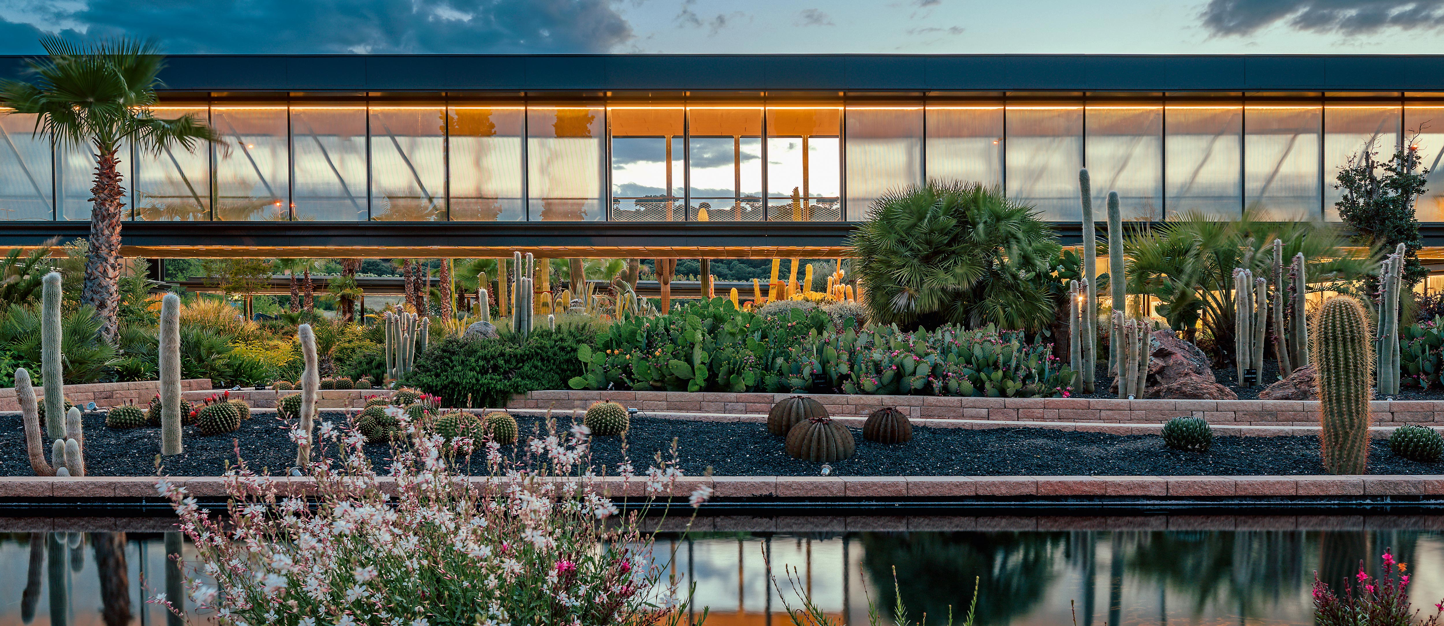 沙漠之城 | 双层氧吧的生态建筑设计-0