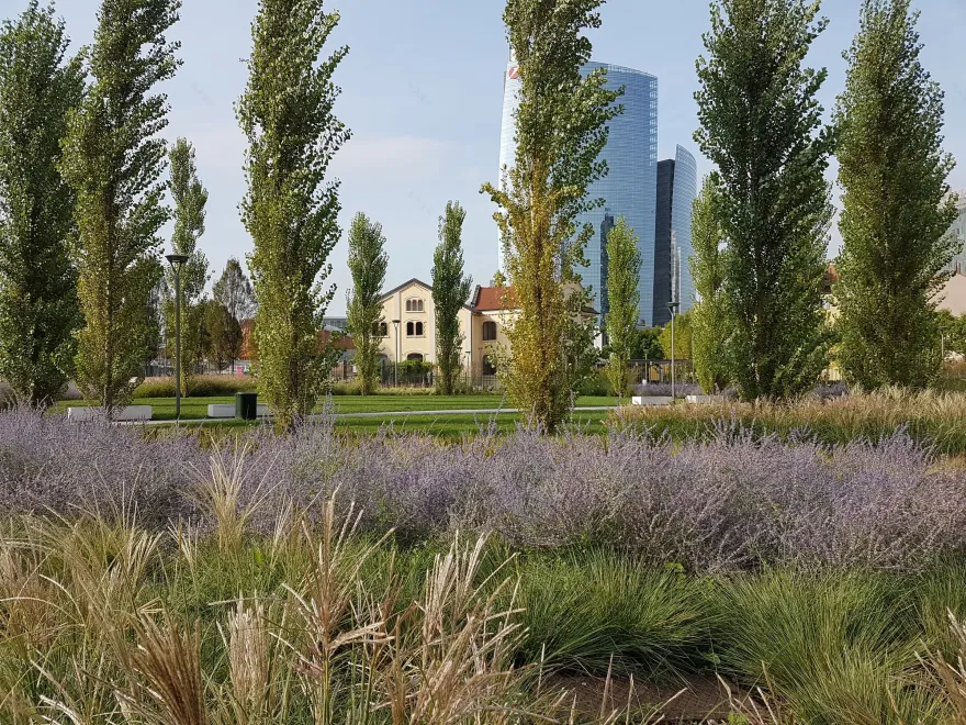 树木图书馆公园丨意大利米兰-40