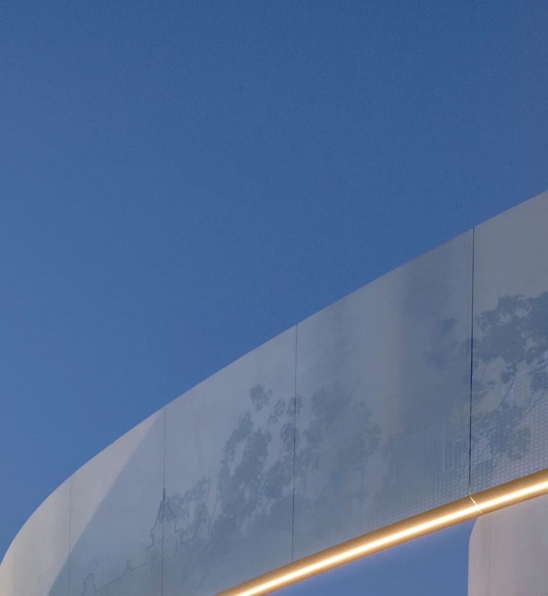 云上的日子，​树下的故事丨青岛胶州龙湖上合壹号-89