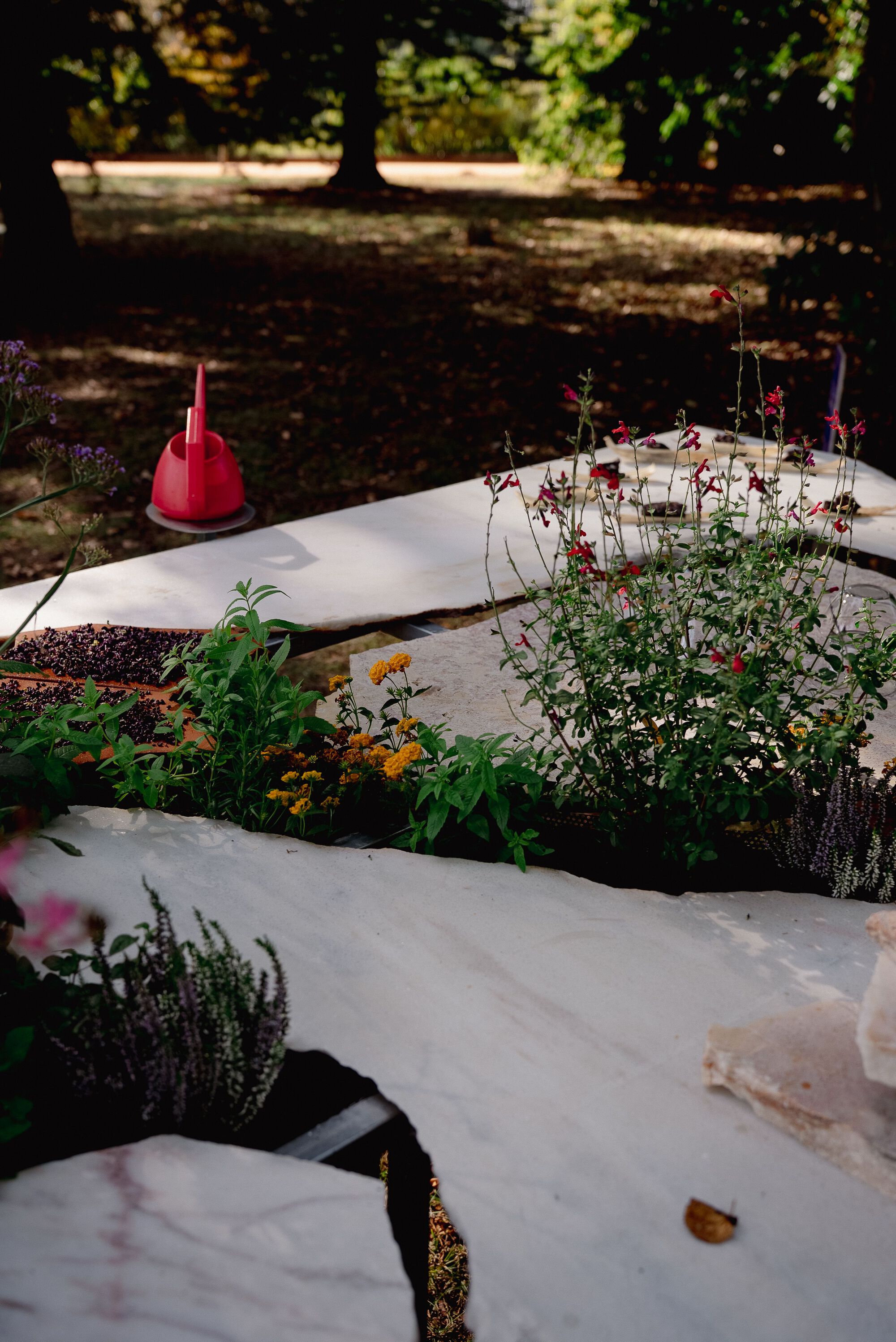 活体多物种厨房丨葡萄牙波尔图丨Fahrenheit Works-9