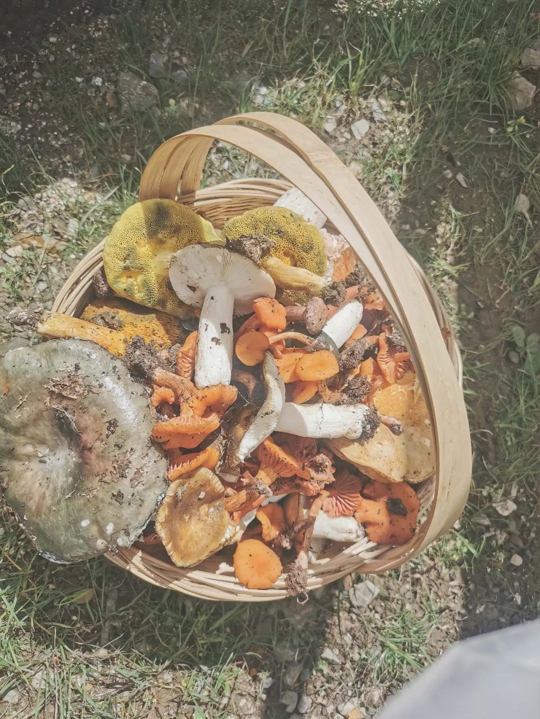 完美一夏 | 康定摄影之旅的室内设计灵感-17