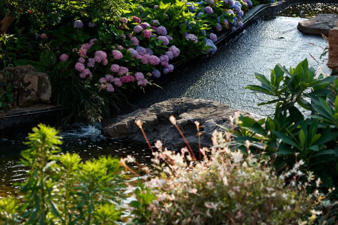 二象复合的城市复甦,中国纺织工人疗养院酒店丨中国青岛丨联创域韬景观-37