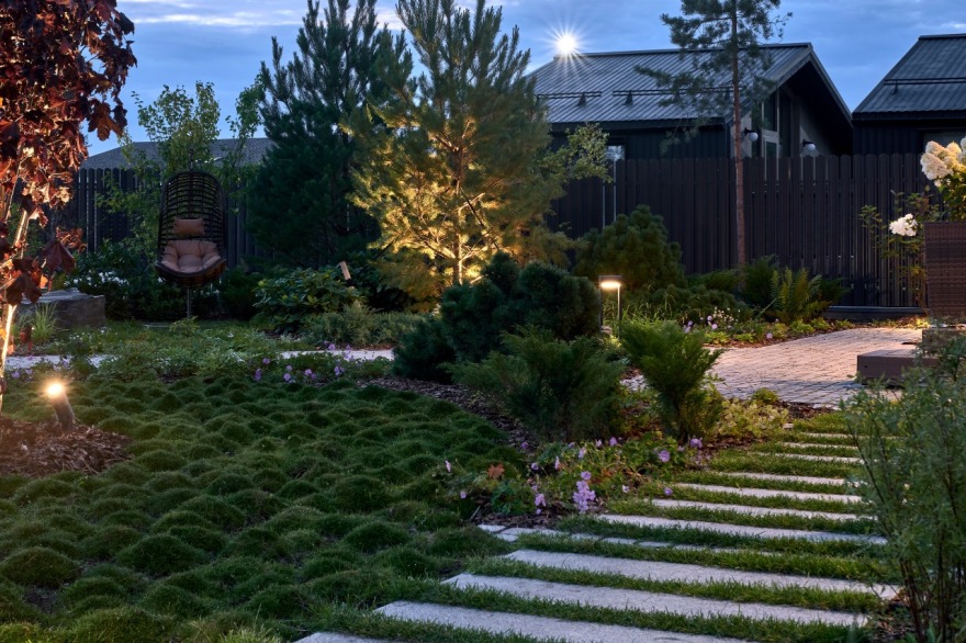 茉莉藓丨俄罗斯丨«ХВОЯ ландшафтное строительство»-15