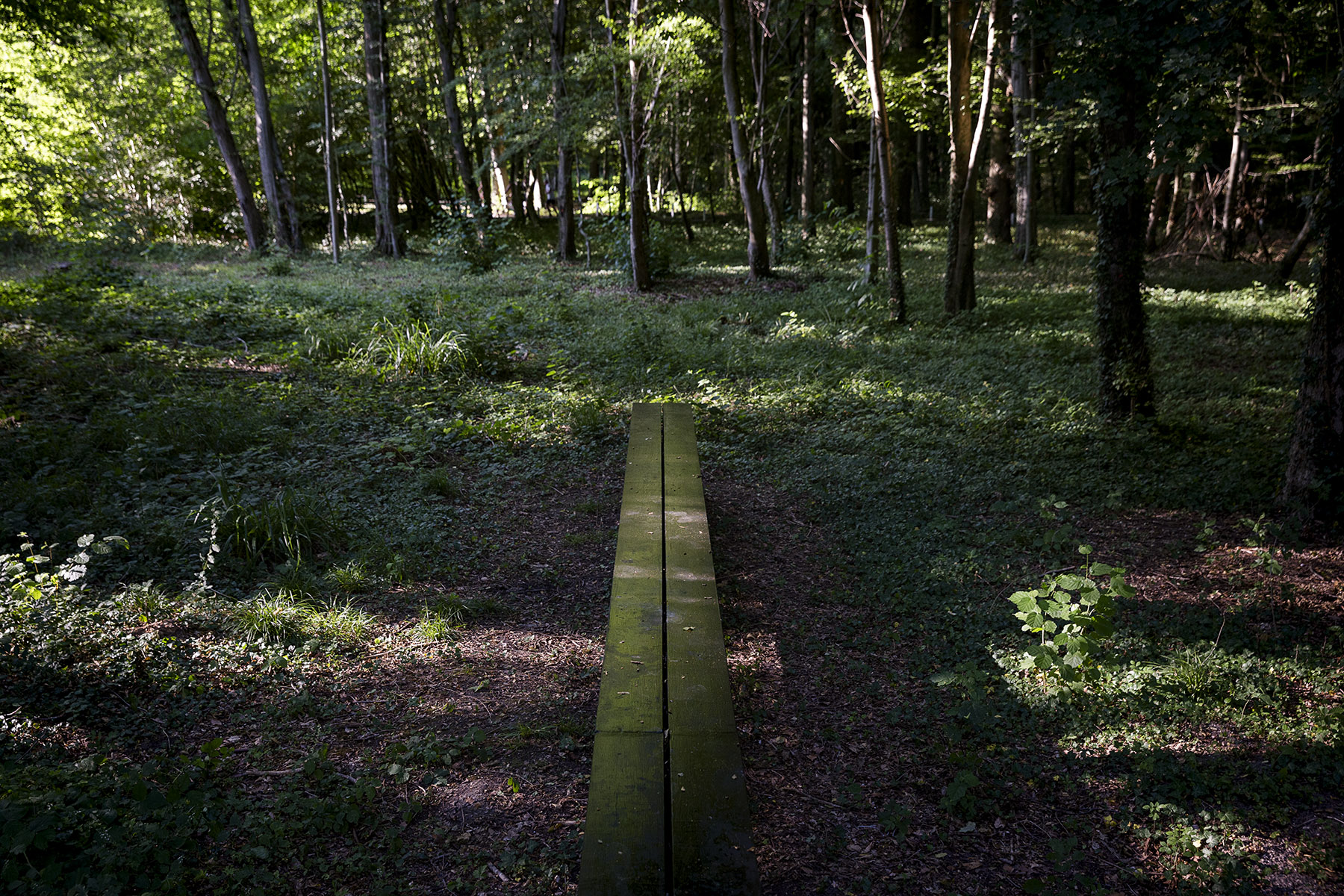 第三列车花园的镜像长凳丨法国-33