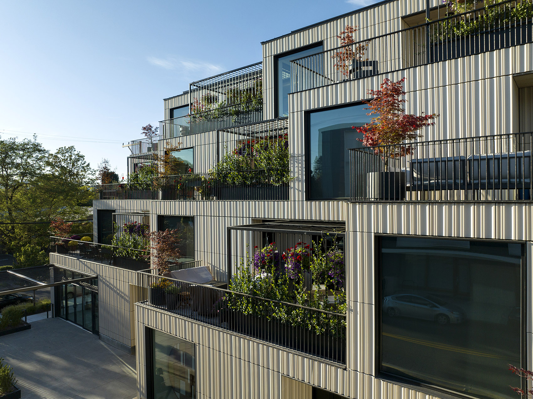 Ellen Browning大楼丨美国波特兰丨CAMERON MACALLISTER GROUP-7