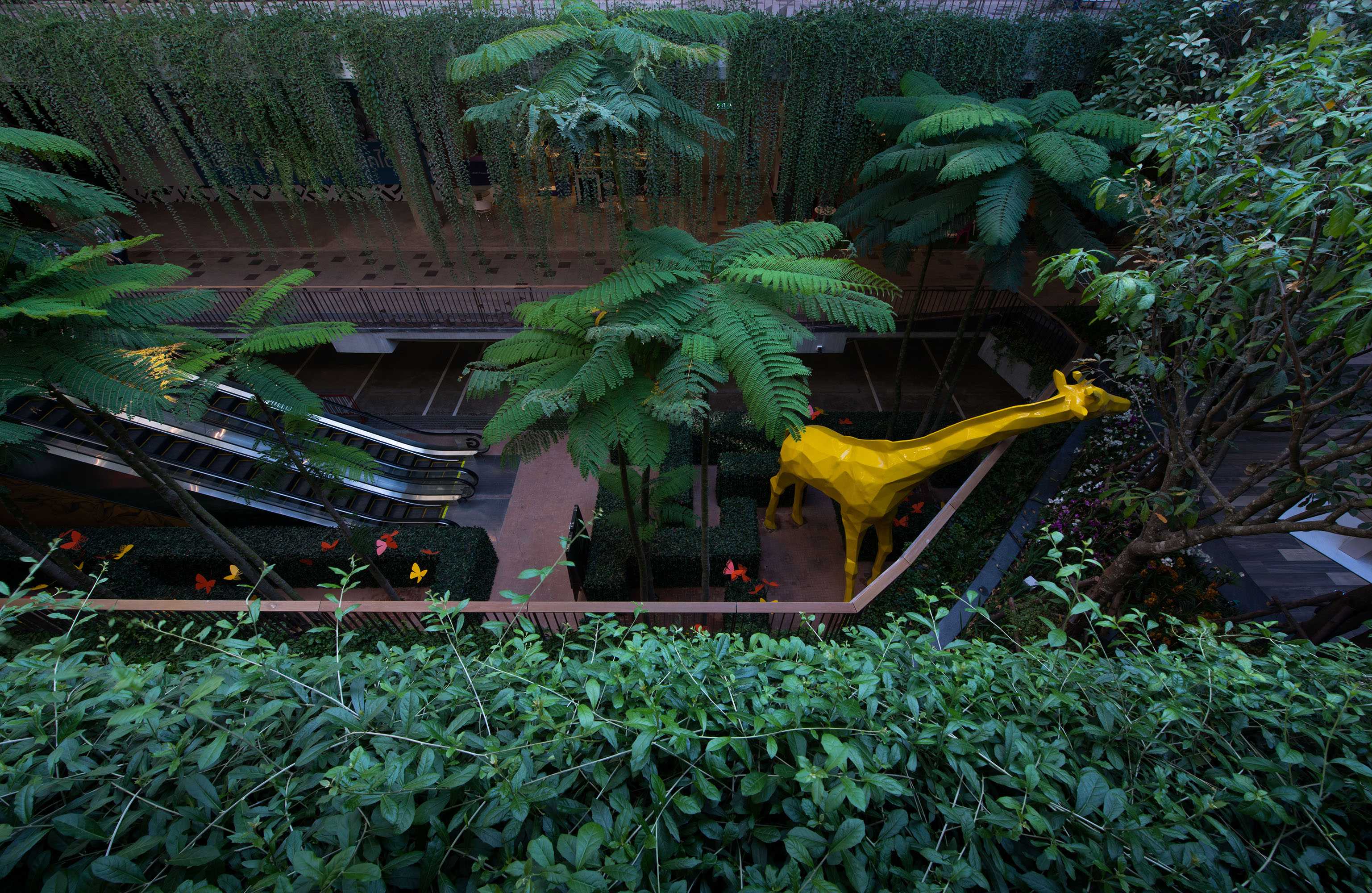 中央节日东维尔-7