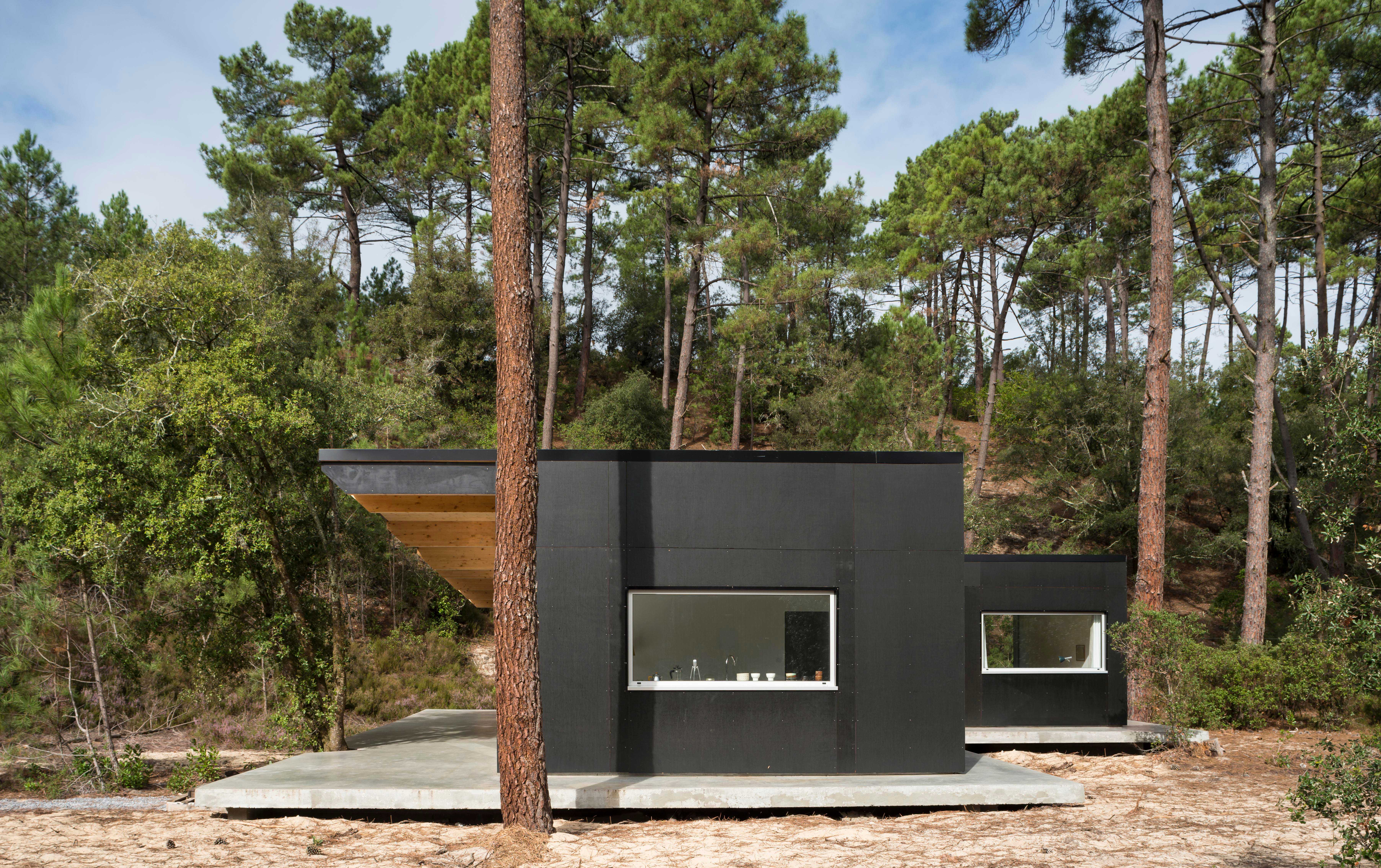 漂浮森林中的度假屋-0