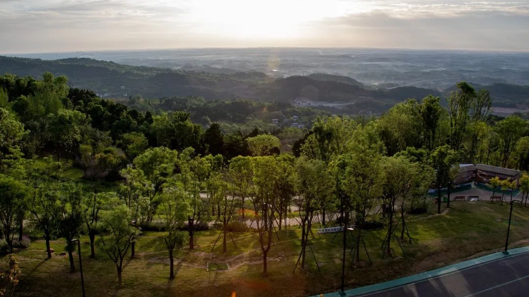 丹景阁 | 融入竹文化的现代观景楼阁-12